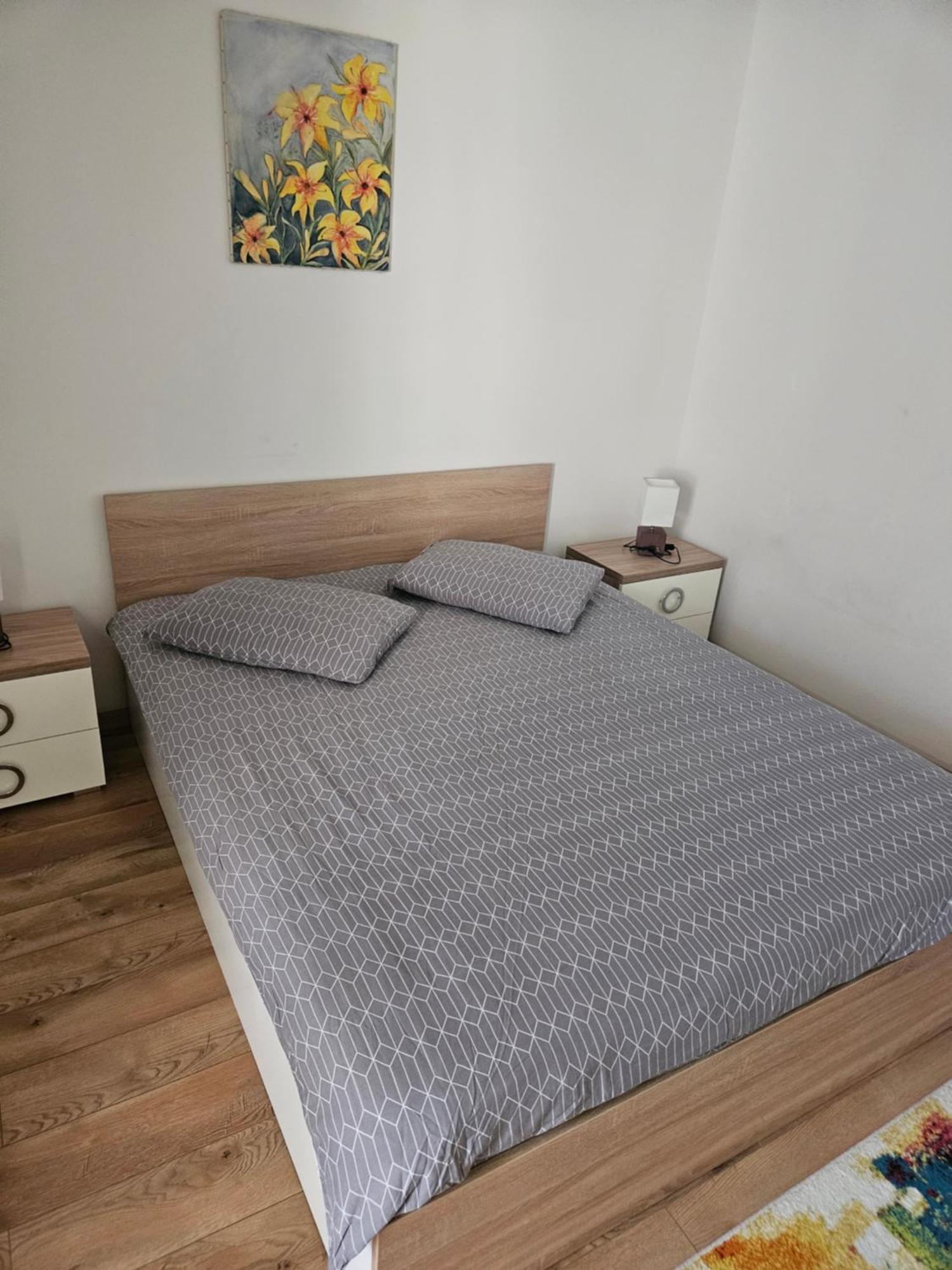 Casa Gabriela Villa Brasov Bagian luar foto